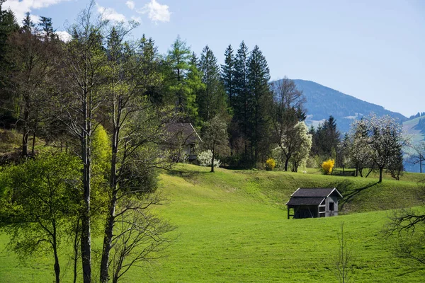 春にオーストリアのクラムサッハ近くの山 — ストック写真