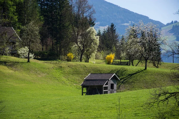 Βουνά Κοντά Στο Kramsach Στην Αυστρία Την Άνοιξη — Φωτογραφία Αρχείου