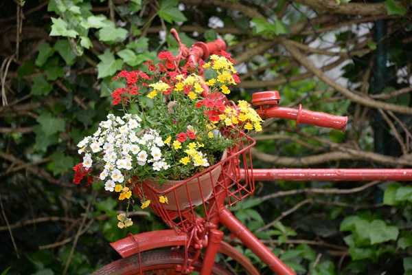 Rot Fahrrad Blumenschmuck Rad Garten Dekoration Dekoration Blumen Malerisch Malerisch — Stockfoto