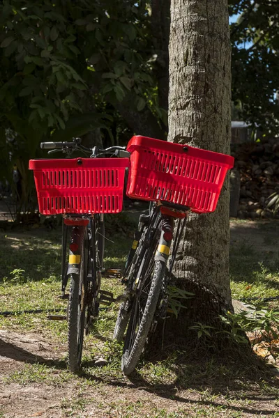 Vélos Garés Sur Digue Seychelles Océan Indien Afrique — Photo