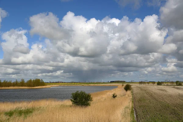 Natuurreservaat Een Beschermd Gebied Van Belang Voor Flora Fauna — Stockfoto