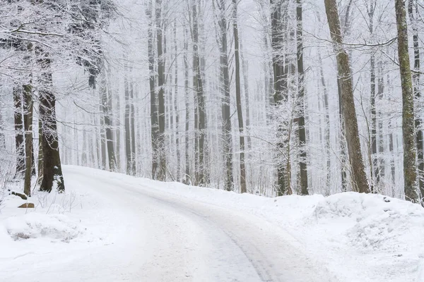 Snöig Vandringsled Genom Snöig Skog — Stockfoto