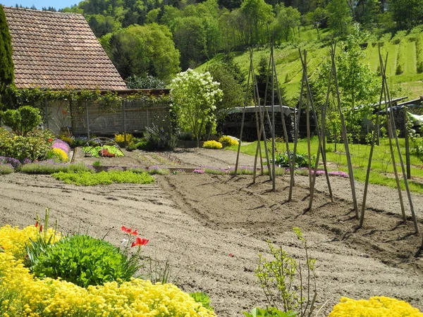 Flykting Naturparken Kottenforst Ville Brhl Nordrhein Westfalen Tyskland — Stockfoto