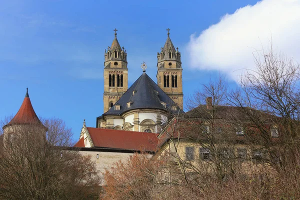 Útočiště Přírodním Parku Kottenforst Ville Brhl Severní Porýní Vestfálsko Německo — Stock fotografie