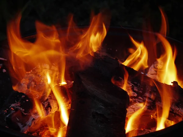 Red Fire Burning Firewood Bonfire — Stock Photo, Image