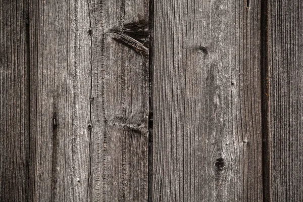 Útočiště Přírodním Parku Kottenforst Ville Brhl Severní Porýní Vestfálsko Německo — Stock fotografie