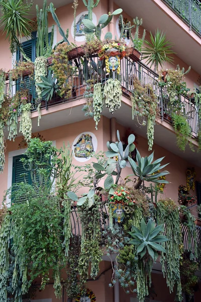 Hus Vägg Taormina Sicilien Mazzeo Letojanni Blommor Blomsterdekoration Växter Växtdekoration — Stockfoto