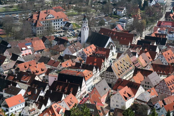 Toevlucht Het Natuurpark Kottenforst Ville Brhl Noordrijn Westfalen Duitsland — Stockfoto