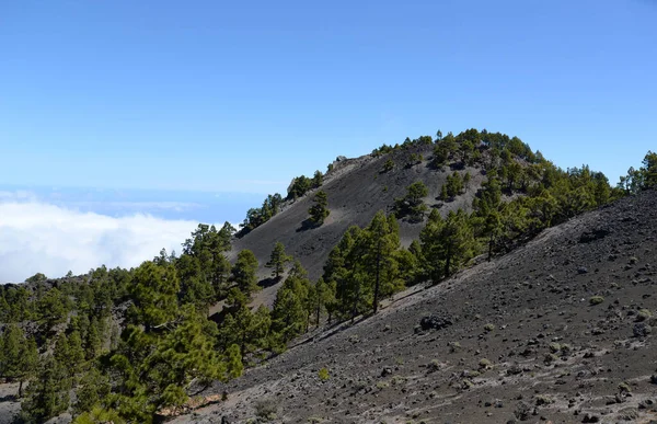 Route Volcanique Routa Los Volcanes Palma Îles Canaries Espagne Paysage — Photo