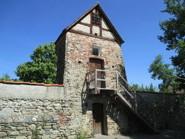 Refuge Kottenforst Ville Nature Park Brhl North Rhine Westphalia Germany — стокове фото