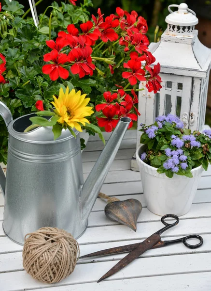 Decoración Del Jardín Con Geranios Rojos Una Herramienta Regadera Desde — Foto de Stock