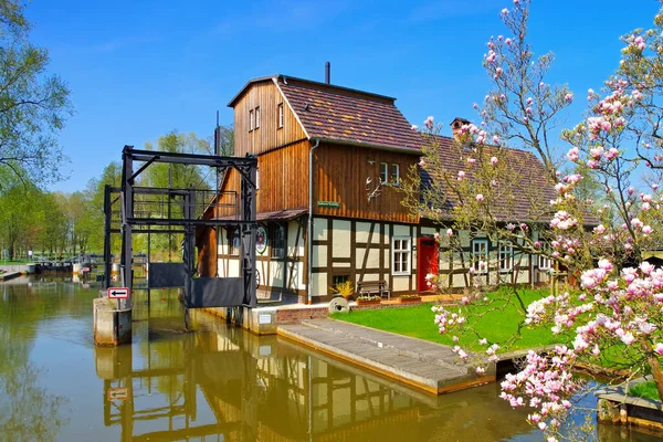 Douche Roues Buschmuehle Dans Spreewald Fruehling Moulin Raddusch Spree Forest — Photo