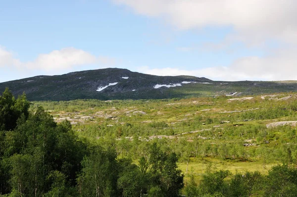 Park Narodowy Saltfjellet Svartisen Norwegii Oferuje Dziki Romantyczny Krajobraz Uprawiania — Zdjęcie stockowe