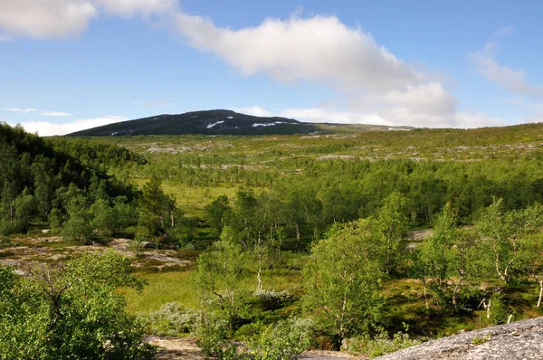 Het Saltfjellet Svartisen National Park Noorwegen Biedt Een Wild Romantisch — Stockfoto