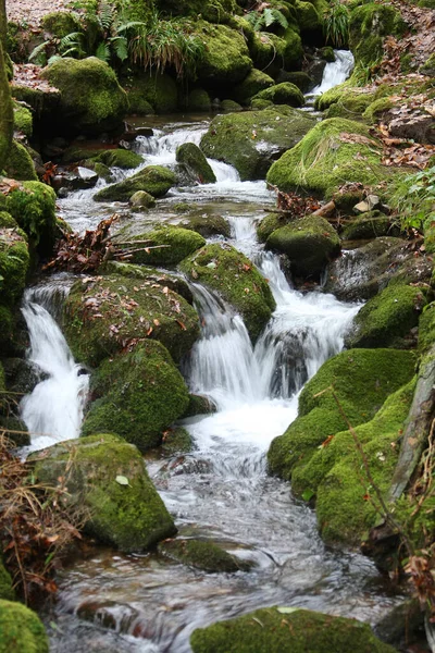 Stream Sulle Colline Del Galles — Foto Stock