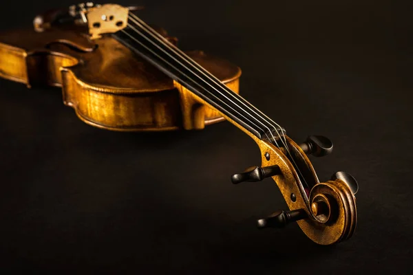 Nahaufnahme Einer Geige — Stockfoto