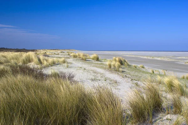 Las Dunas Renesse Zelanda Los Países Bajos —  Fotos de Stock