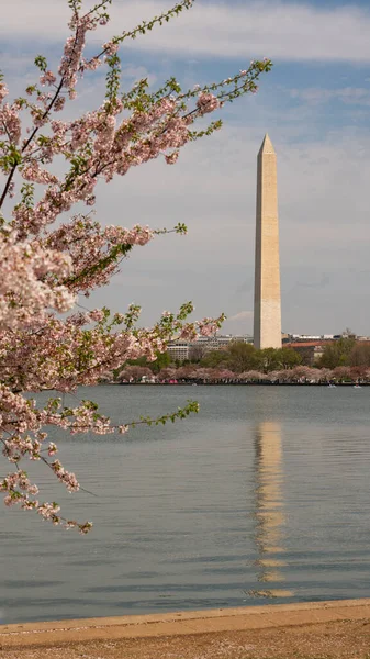 Una Abertura Entre Los Árboles Permite Una Vista Del Monumento — Foto de Stock