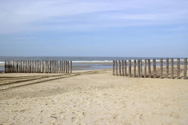 Hollanda Renesse Sahilindeki Tahta Kazıklardan Yapılmış Dalga Kırıcı — Stok fotoğraf