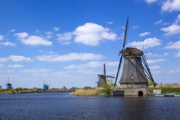 Paisagem Rural Com Moinhos Vento Famoso Local Turístico Kinderdijk Holanda — Fotografia de Stock