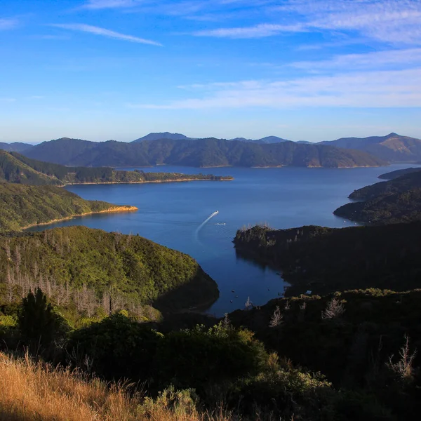 Індевор Інлет Затока Протоці Королеви Шарлотти Нова Зеландія — стокове фото