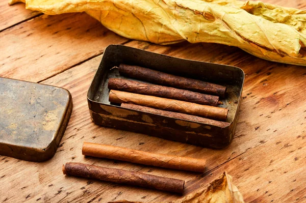 Cigarillos Dry Tobacco Leaf Wooden Background — Stock Photo, Image