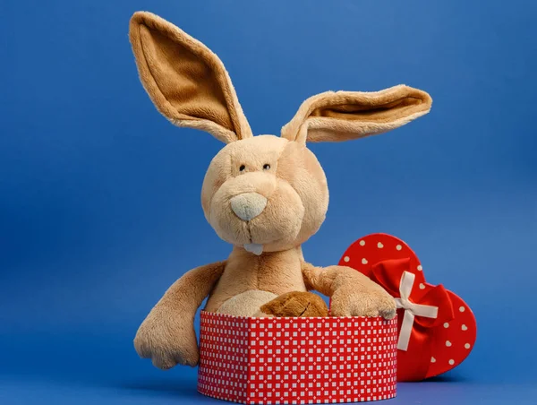Lindo Conejo Felpa Sosteniendo Una Caja Regalo Atada Con Una —  Fotos de Stock