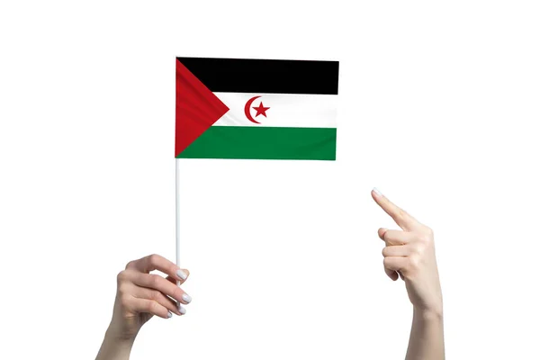 Een Mooie Vrouwelijke Hand Houdt Een Westelijke Sahara Vlag Vast — Stockfoto