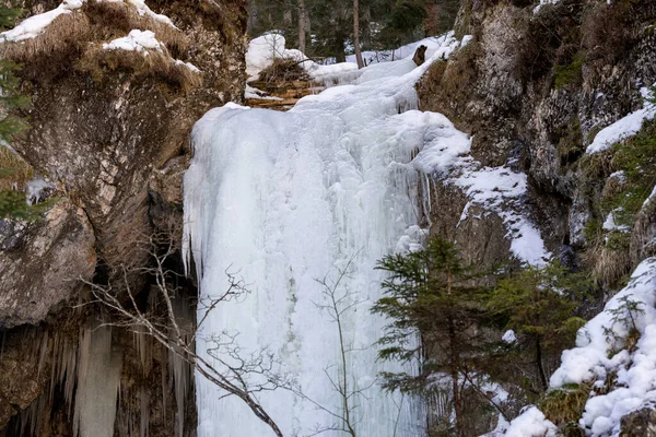 Belle Cascade Dans Forêt — Photo