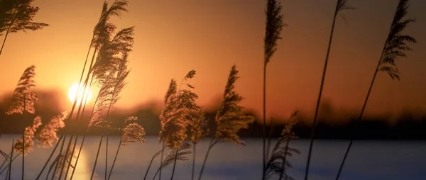 Hermoso Atardecer Lago — Foto de Stock