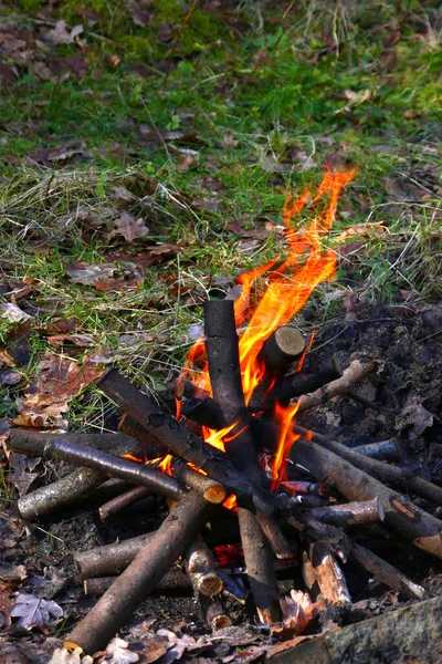 森林失火 — 图库照片
