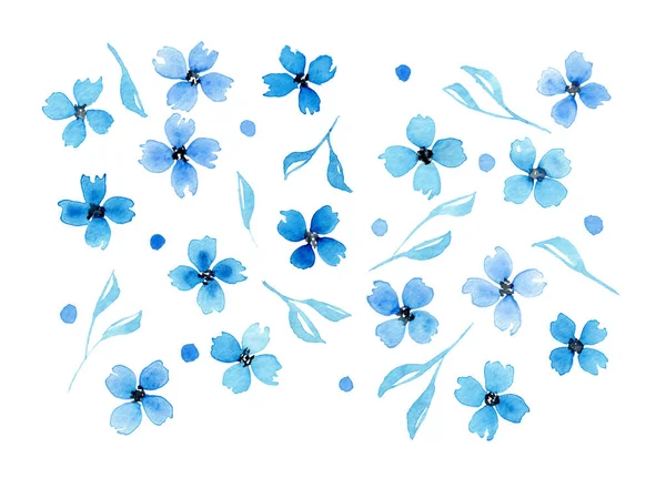 Aquarelle Fleurs Bleues Feuilles Isolées Sur Fond Blanc Illustration Florale — Photo