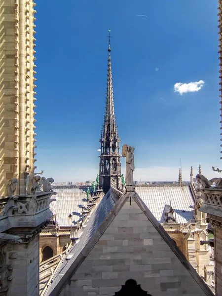 Cathédrale Notre Dame Paris Cite Dôme Catholique — Photo