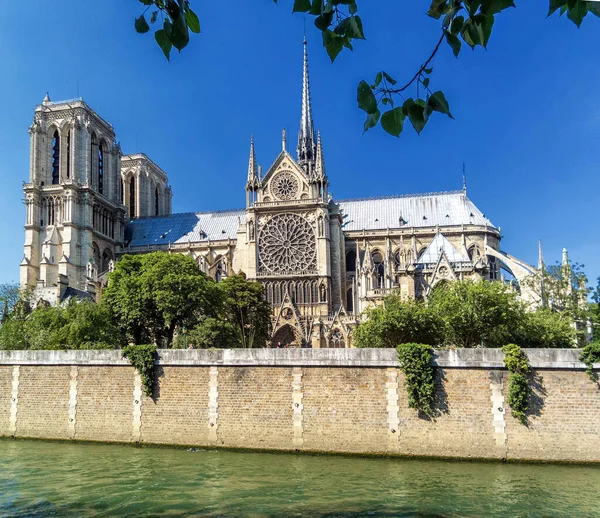 Cathedrale Notre Dame Paris Cite Cúpula Católica — Fotografia de Stock
