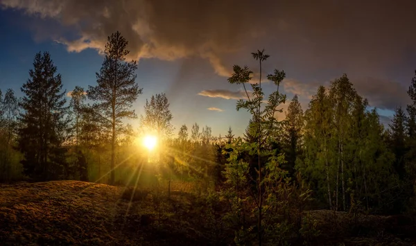 Kleines Waldpanorama Bei Sonnenuntergang — Stockfoto