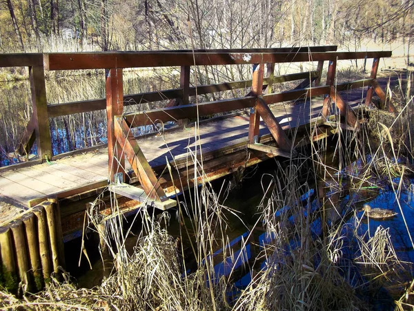 Παλιά Ξύλινη Γέφυρα Στο Δάσος — Φωτογραφία Αρχείου