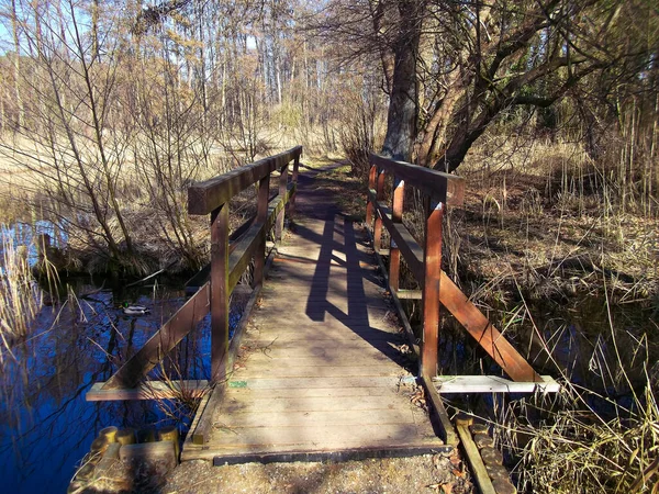 Holzbrücke Wald — Stockfoto