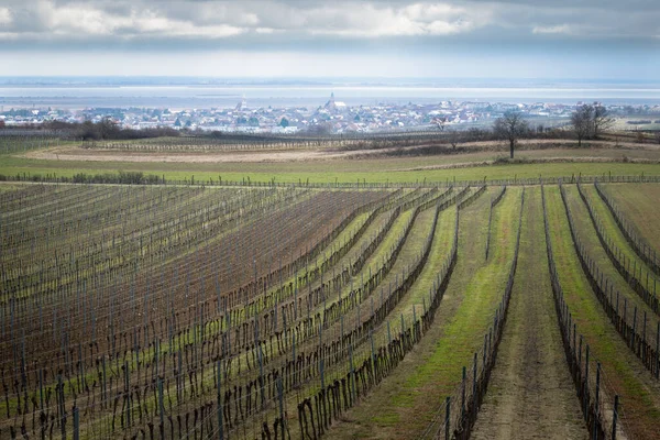 Stad Rust Burgenland Aan Neusiedlersee Met Wijngaarden — Stockfoto