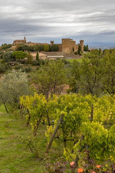 Toszkána Leghíresebb Szőlőültetvények Közelében Város Montalcino Olaszországban — Stock Fotó