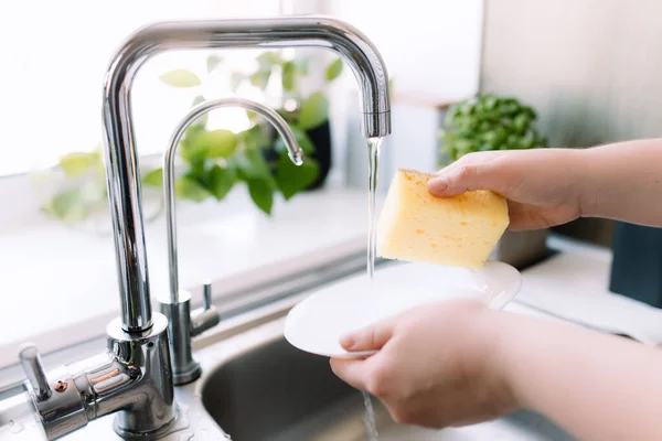 Frau Hände Waschen Weißen Teller Mit Schwamm Und Seife Der — Stockfoto