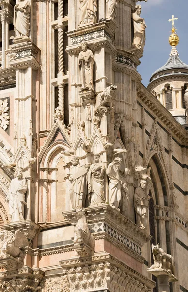 Catedral Siena Dedicada Assunção Santíssima Virgem Maria Itália — Fotografia de Stock