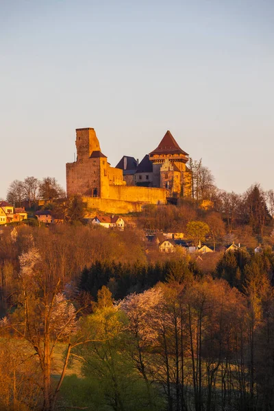 Castelo Lipnice Nad Sazavou Região Vysocina República Checa — Fotografia de Stock