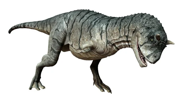 Weergave Van Een Carnotaurus Sastrei Dinosaurus Vleesetende Stier Geïsoleerd Witte — Stockfoto