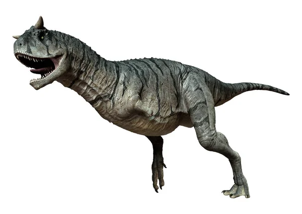 Rendering Dinosauro Toro Mangia Carne Carnotaurus Sastrei Isolato Sfondo Bianco — Foto Stock