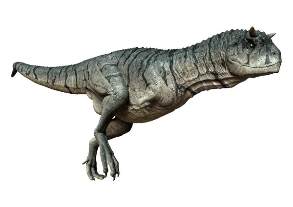 Rendering Dari Dinosaurus Sastrei Carnotaurus Atau Daging Makan Banteng Terisolasi — Stok Foto