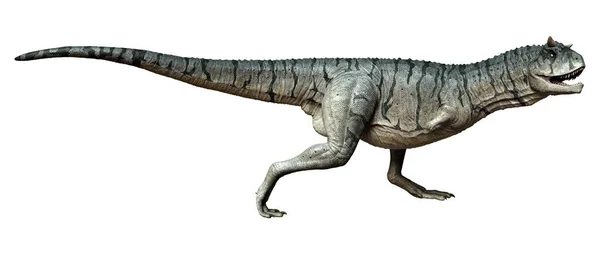 Απόδοση Ενός Δεινόσαυρου Carnotaurus Sastrei Σαρκοφάγος Ταύρος Απομονωμένος Λευκό Φόντο — Φωτογραφία Αρχείου