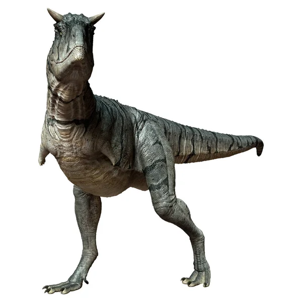 Рендеринг Динозавра Carnotaurus Sastrei Плотоядного Быка Белом Фоне — стоковое фото