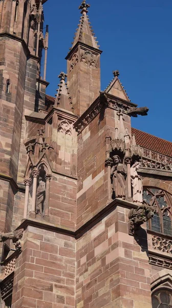 Freiburg Tyskland Stadsutsikt Sightseeing Antik Arkitektur Parker Och Gator — Stockfoto