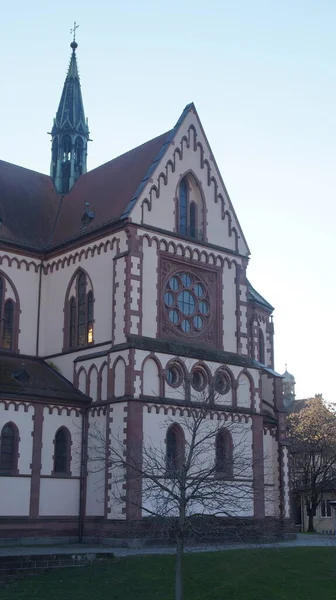 Freiburg Duitsland Uitzicht Stad Bezienswaardigheden Oude Architectuur Parken Straten — Stockfoto