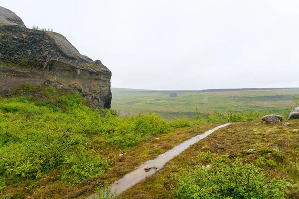 Island Landskap Jokulsargljufur National Park Regnade Dag Island — Stockfoto